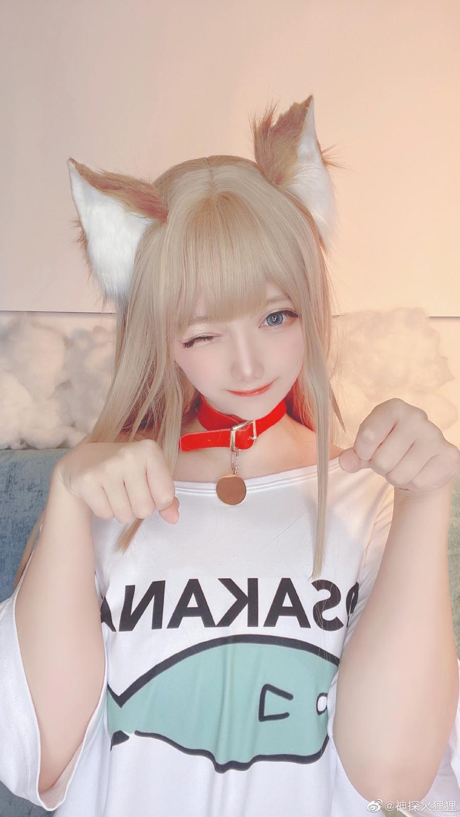 享受神探火狸狸下载的唯美图包